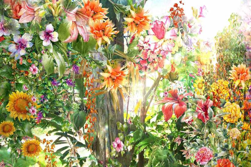 bunte-fruehlingsblumen-ISS_23394_00229