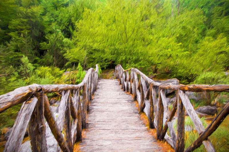 Wooden bridge in the mountains of Olympus, Greece