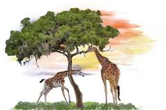Giraffes near a tree watercolor